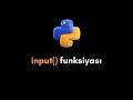 Python input() funksiyası nə iş görür?