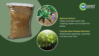Bone Meal Powder