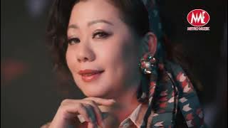 Gean Lim 林必媜 - 风雨恋 Feng Yu Lian   又是细雨 You Shi Xi Yu (4K MV)