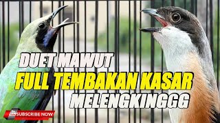 DUET MASTERAN FULL TEMBAKAN KASAR MELENGKING TERBAIK UNTUK BURUNG LOMBA !!!