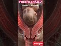 Stage 1 of Labor Explained: What Happens During the First 19 Hours Before Birth?  #Pregnancy #shorts