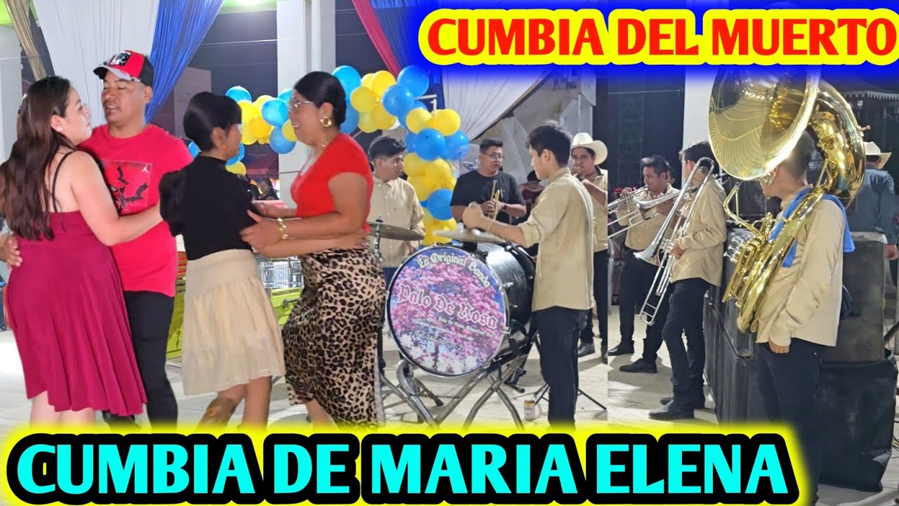 LAS MEJORES CUMBIAS CON BANDA DE VIENTO LA ORIGINAL BANDA PALO DE ROSA