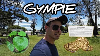 Gympie Queenslands Den Nugget