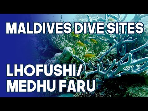 Maldives Dive Site | Lhofushi / Medhu Faru | South Male Atoll