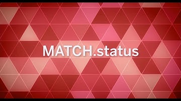 MATCH-3DX | Functions & Parameters (MATCH.status)