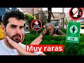 Japón y sus Leyes que No Tienen Sentido