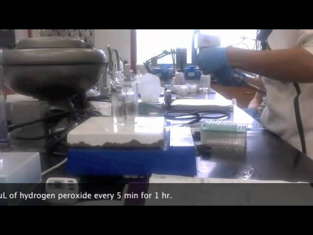 Polymerization of Indole