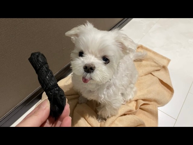 I thought there was some rustling going on so I took a look