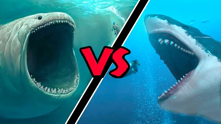 Megalodon VS Bloop – (Who Would Win?) - DayDayNews