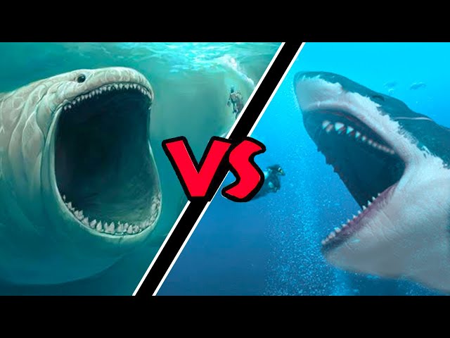 Megalodon VS Bloop – (Who Would Win?) class=