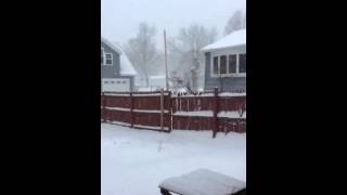 Winter storm Jonas 1/23/16