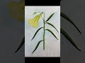#kaner# phool# transitionart# kaner ka phool#shortsfeed#yt #youtubeshorts#naturelovers