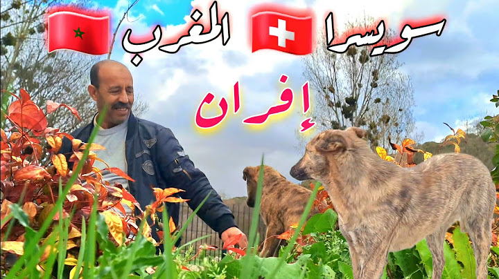 افران المغرب | واخيرا رجعت الحياة الى مدينة افران -  طبيعة عين فتان | الجزء الاول | Vlog 2025 Top