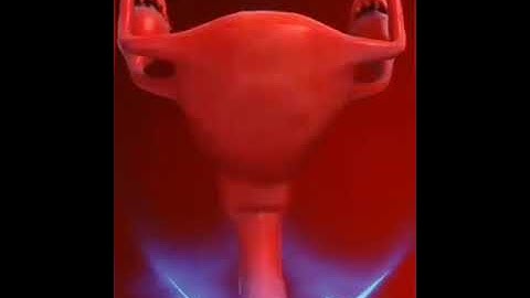 مراحل خلق الجنين مع آيات الذكر الحكيم بصوت الشيخ عبدالباسط عبدالصمد