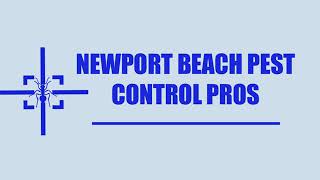Newport Beach CA Pest Control Pros - Mice Control  Services in Newport Beach CA