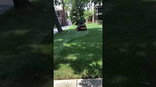 Scag Tiger Cat 2 with stripe kit from Scag #scag #lawncare #mowing #landscape #landscaping