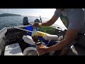 Fishing Shrimping  the Puget Sound Catch and eat #pugetsoundfishing #fishingh #Shrimping #pugetsound
