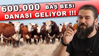 BESİ İTHALATI BAŞLADI ⎮ ŞOK FİYATLAR