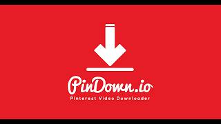 How to Download Pinterest Videos, Images & GIFS in Full HD - Pindown.io screenshot 3