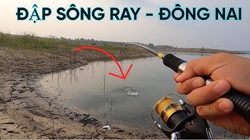 Câu cá lóc thiên nhiên tại đập Sông Ray - Đồng Nai