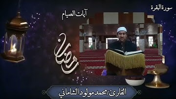 القارئ محمد مولود الشاماني تلاوة عراقية مرئيه من سورة البقرة (آيات الصيام )