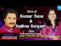 Main Bewafa Nahi Hoon (HD) Sab Song #Kumar Sanu#Sadhana Sargam#