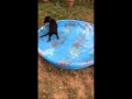 Boo gets a pool