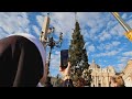 Ватикан: на площади Святого Петра установили ёлку