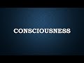 Consciousness