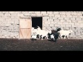 Dosoy Cinema - Фермеры Кыргызстана