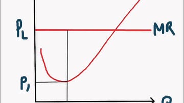 Marginal Cost and Marginal Revenue