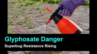 Glyphosate and Superbugs: Unexpected Link Between Weedkiller and Antibiotic Resistance