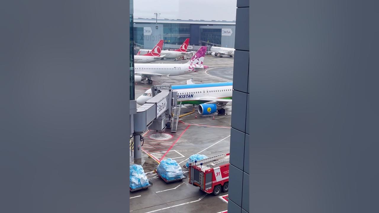 Porno anal fotosuratlar Sindi Vega porno video