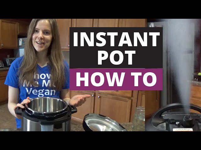 Instant Pot Trivet - What is it and How to Use it? - Paint The