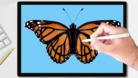 Drawing Butterfly 🦋  in Autodesk Sketchbook | Digital art Illustration