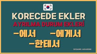 3 Korecede Ayrilma Durum Ekleri̇ -에서 -에게서 -한테서 Ücretsi̇z Korece Dersleri̇