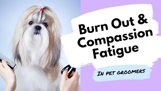 Pet Grooming Made Me Hate Dogs Pet Groomer Burn Out Compassion Fatigue