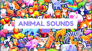 Animal Sounds for Kids - 50 Authentic Amazing Animals! - Wild, Farm, Pets - Ultimate Compilation
