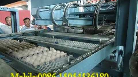 2000pcs/h egg tray machine with single layer drying line