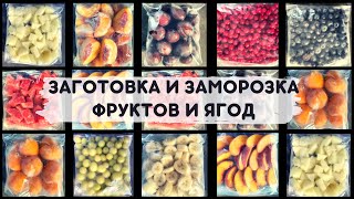 🍉ЗАГОТОВКА И ЗАМОРОЗКА ЯГОД И ФРУКТОВ НА ЗИМУ🍑