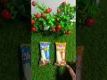 Fly choco bar chocolate popsicle unboxing #shortsfeed #asmr #satisfying #youtubeshorts