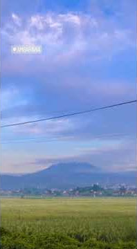 keindahan alam sawah gunung|| story wa #sawah #pemandangan #ambarawa