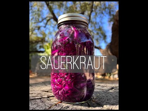 Sauerkraut 4/29/22