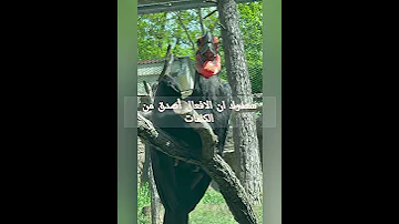 حافظ علي نقاء قلبك وتعلم وضع الحدود Selfcare اكسبلور اهميه اعتني اكسبلور 
