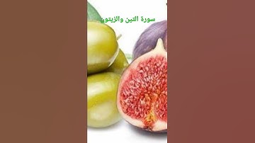سوره التين والزيتون