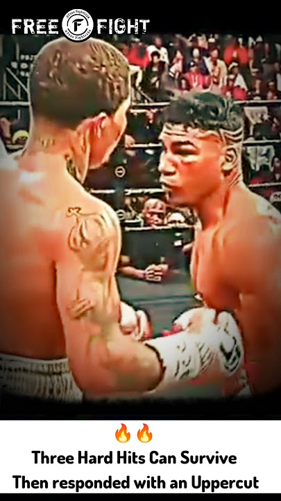 Uppercut responded with 3 hard blows #boxing #ufc #mma