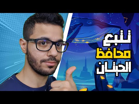 فيديو: أفضل المواقع الاسكندنافية لمشاهدة الحيتان