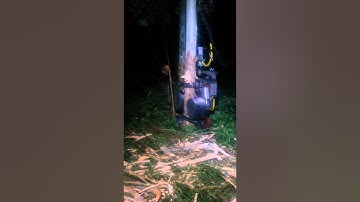 Log max 7000xt perdiz