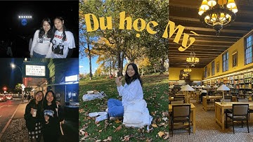 năm đầu học đại học ở mỹ 🇺🇸 || college vlog - ngành STEM, công việc, sinh nhật || du học sinh mỹ