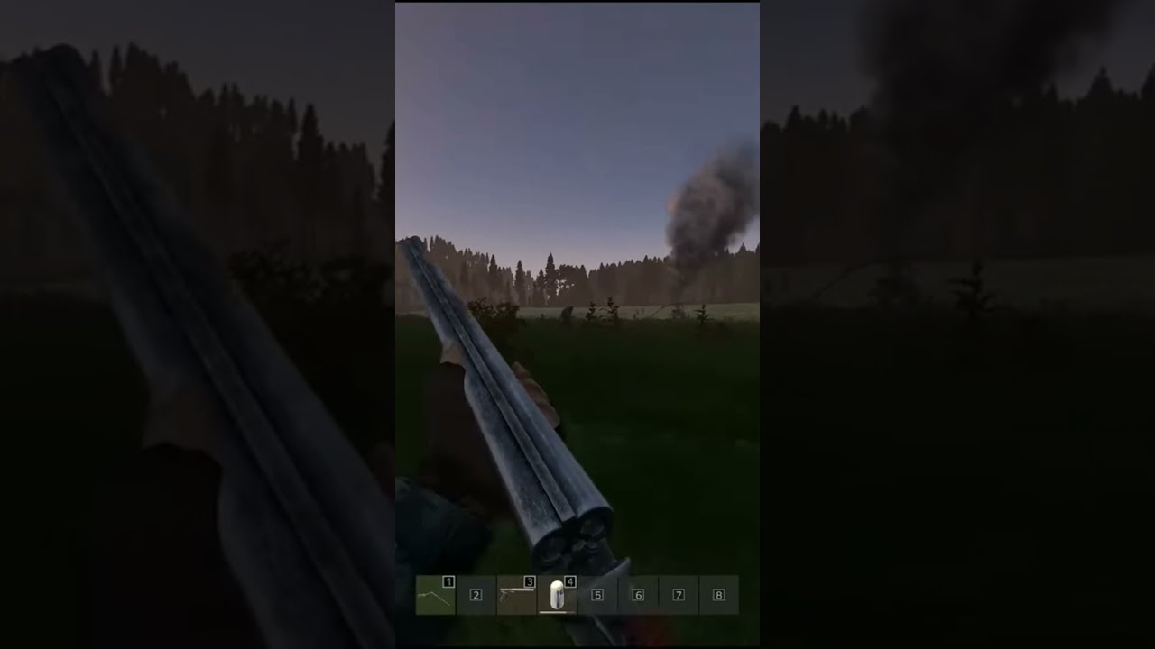 I DO NOT Got It Dayz